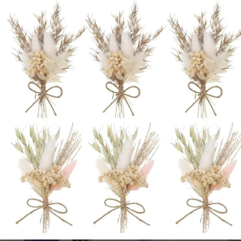 Set of 6 dried flower boutonnieres with tan pampas-style feathers and tied bundles